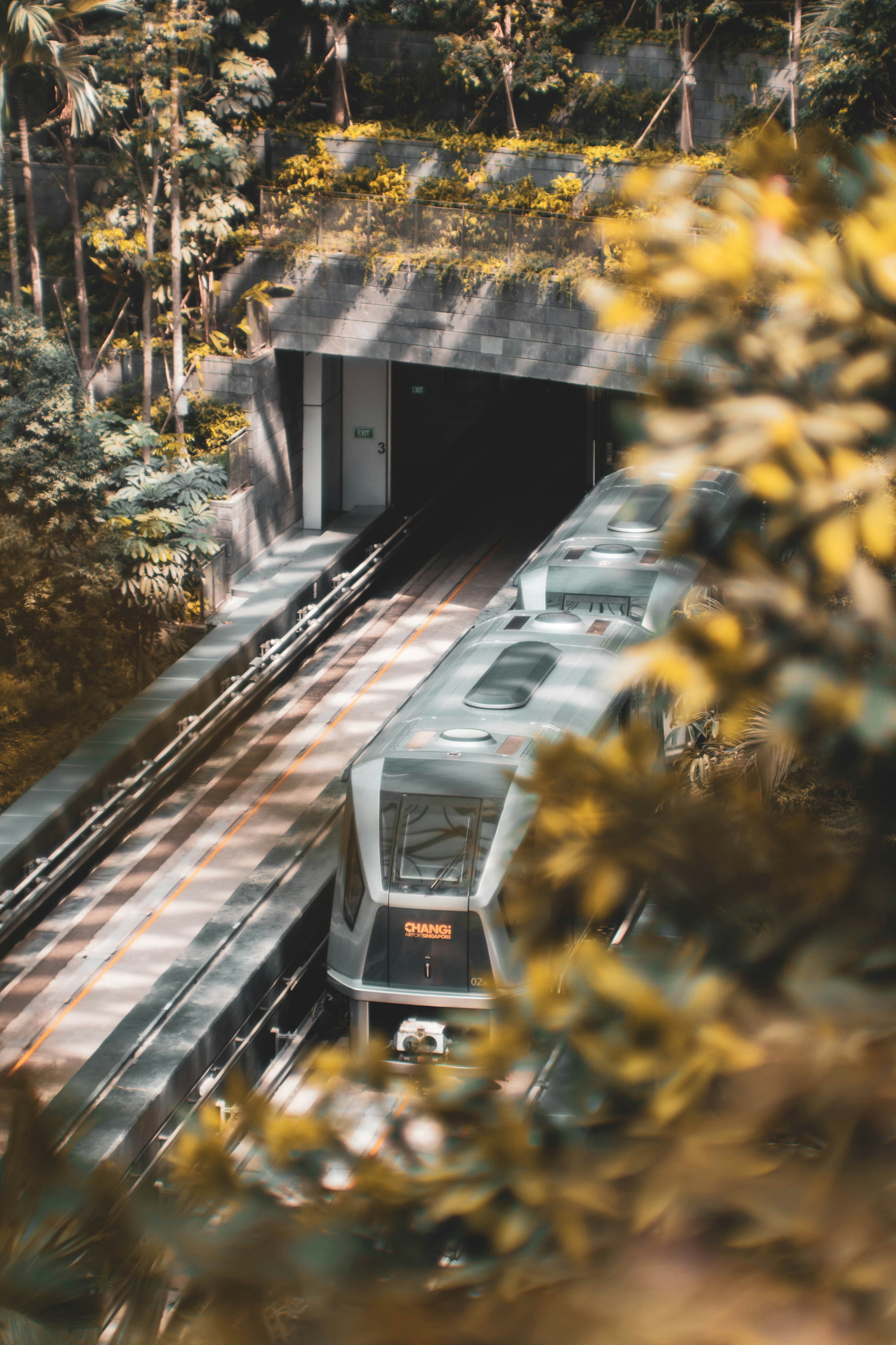 Photo by amoselijahlee