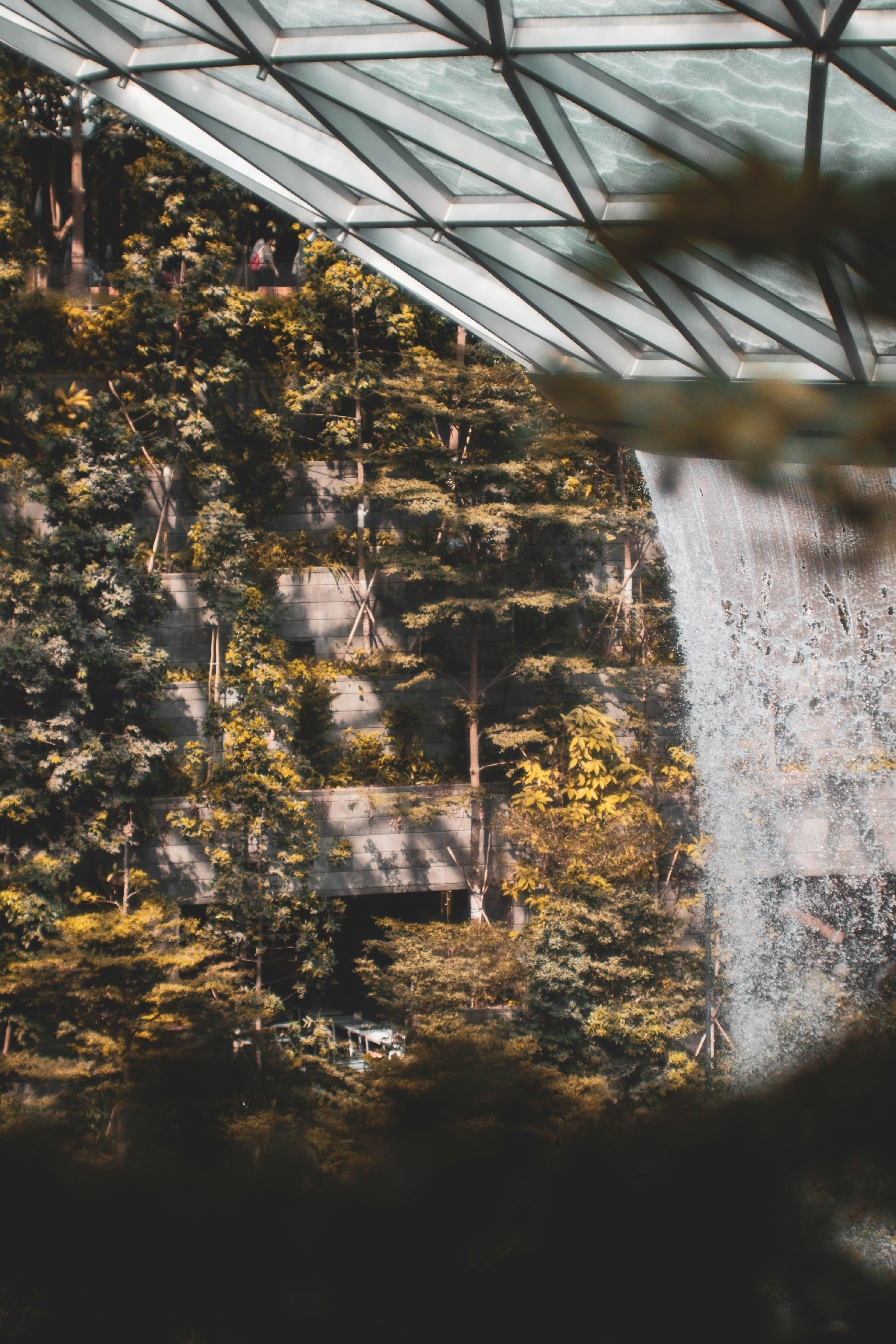 Photo by amoselijahlee