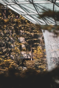 A serene garden with lush greenery and a modern automatic irrigation system in use.