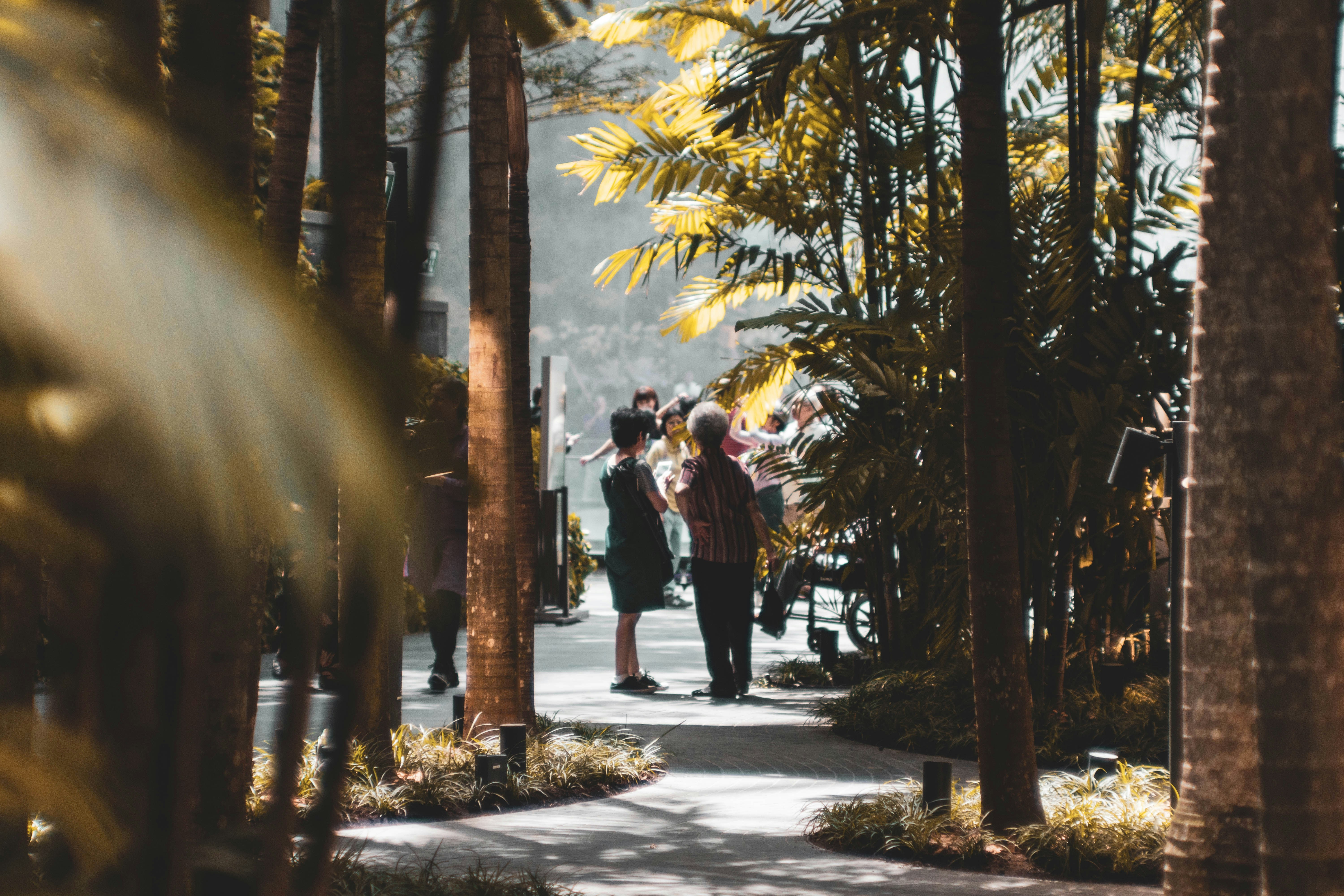 Photo by amoselijahlee