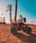 Image showing a group enjoying quad rides amid palm trees under sunny skies.