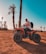 Image showing a group enjoying quad rides amid palm trees under sunny skies.