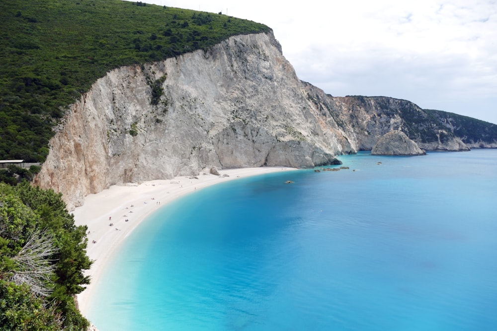 people in white sand beach of cove