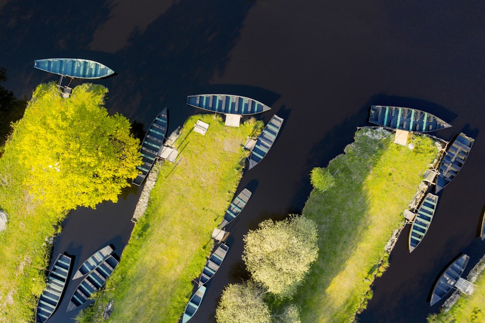 bird's eye view of trees