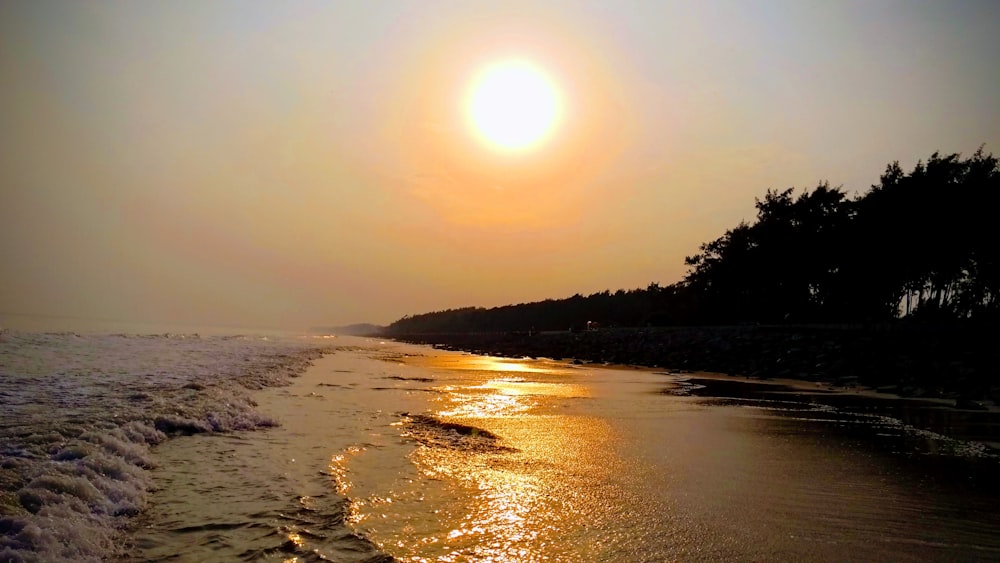 seashore during daytime