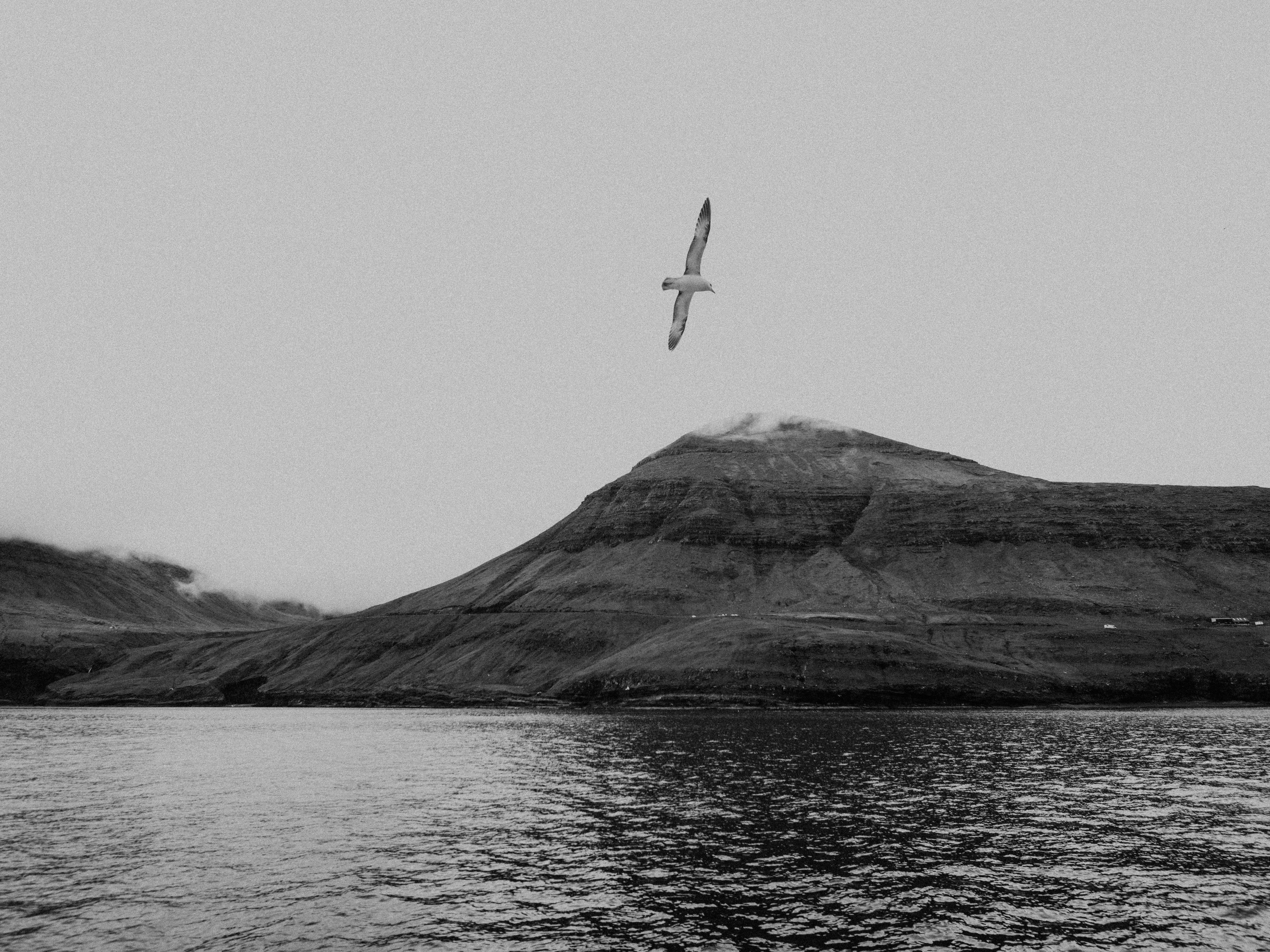 Photo by anniespratt