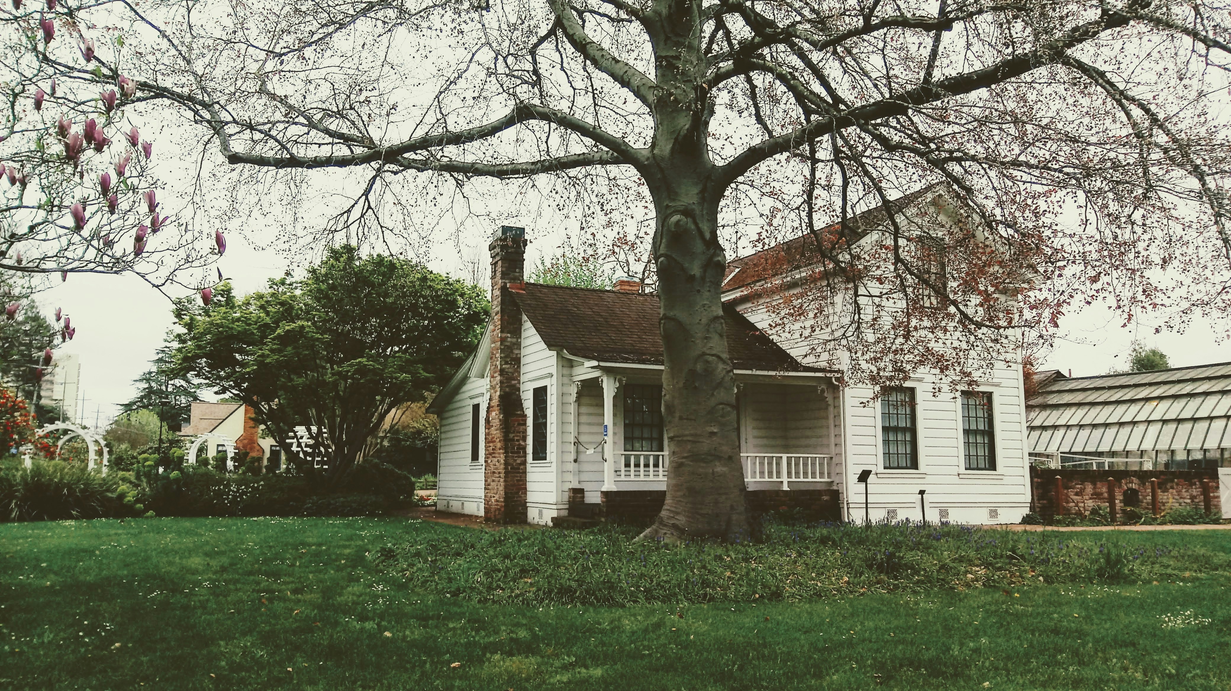 Luther Burbank Home And Gardens Pictures Download Free Images On