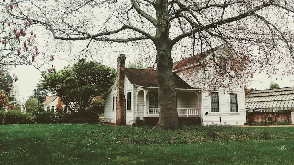 Luther Burbank Home And Gardens Pictures Download Free Images On