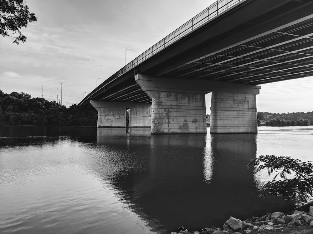 grayscale photo of concrete bridge