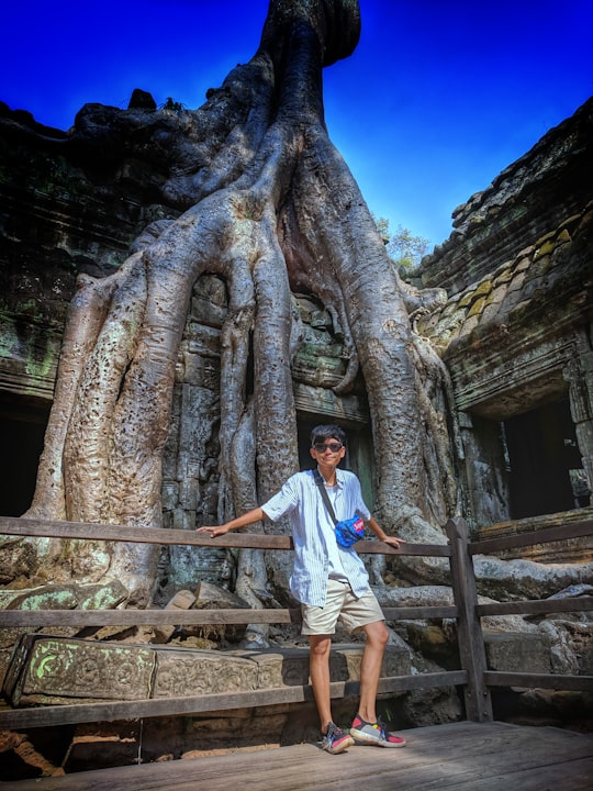 photo of Ta Prohm Temple near Angkor Wat