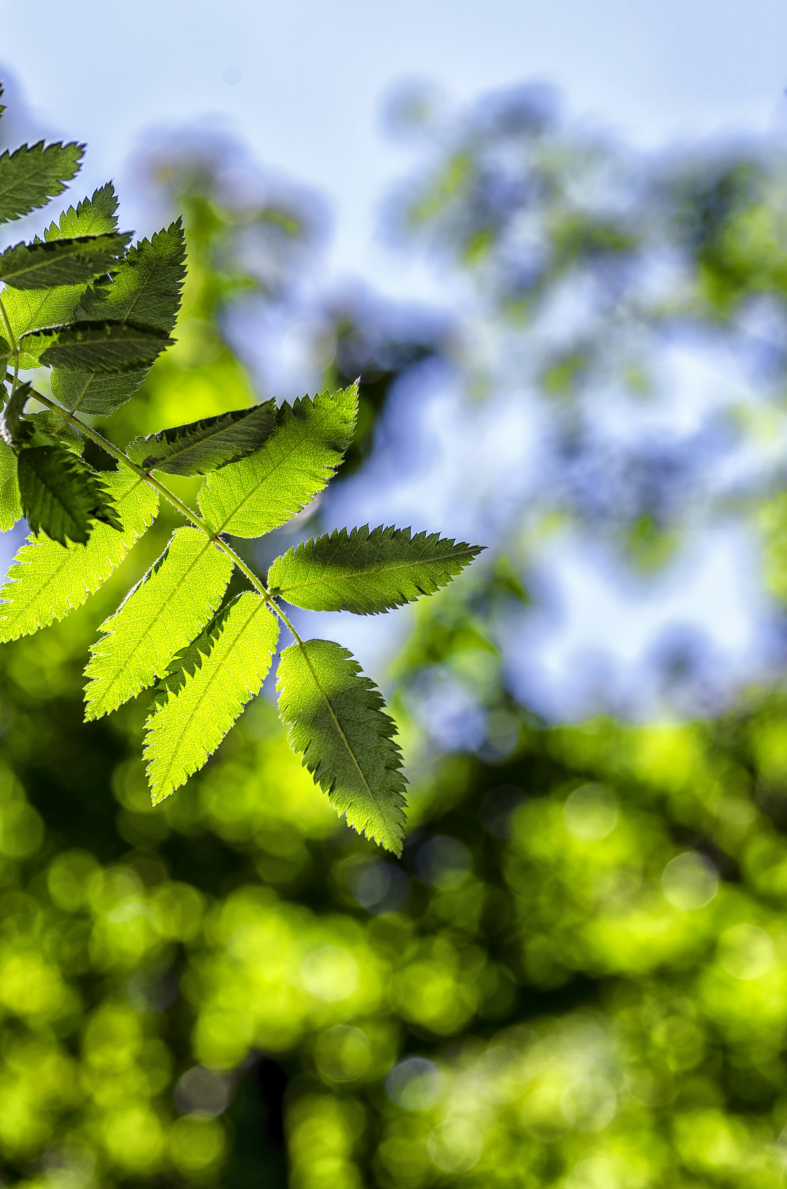 Photo by amirkhajouie