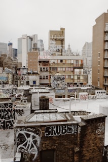 A dense urban area with multiple rooftops covered in graffiti. Older brick buildings contrast against a modern skyline in the background, which includes several high-rises. The foreground features a mix of flat and peaked rooftops adorned with various graffiti tags and art.