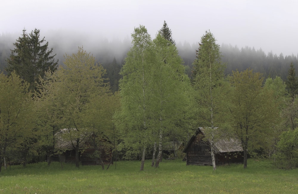 gray cabin near trees during daytime
