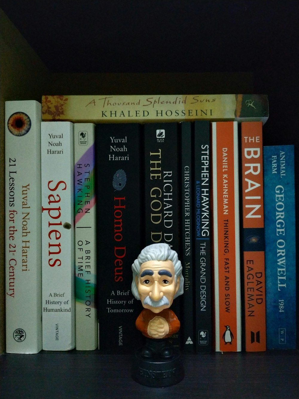 Albert Einstein mini figure besides books
