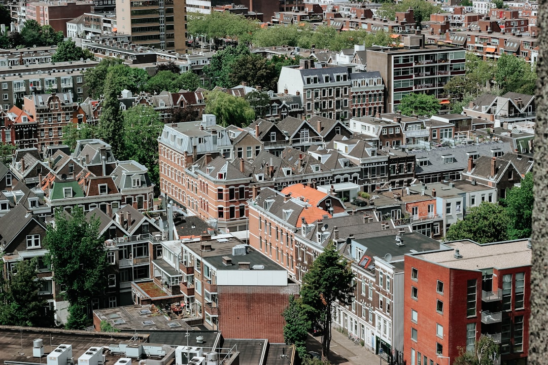 aerial photography of gray houses