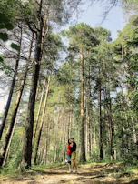 An intimate engagement shoot with a couple holding hands in a sunlit forest clearing.