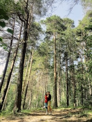 A couple embraces on a forest path surrounded by tall, lush green trees. Sunlight filters through the canopy, casting a warm glow. The mood is peaceful and intimate, nestled in nature.