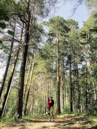 A couple embraces on a forest path surrounded by tall, lush green trees. Sunlight filters through the canopy, casting a warm glow. The mood is peaceful and intimate, nestled in nature.