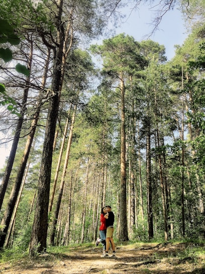 A couple holding hands on a sunlit forest path, surrounded by soft green foliage.