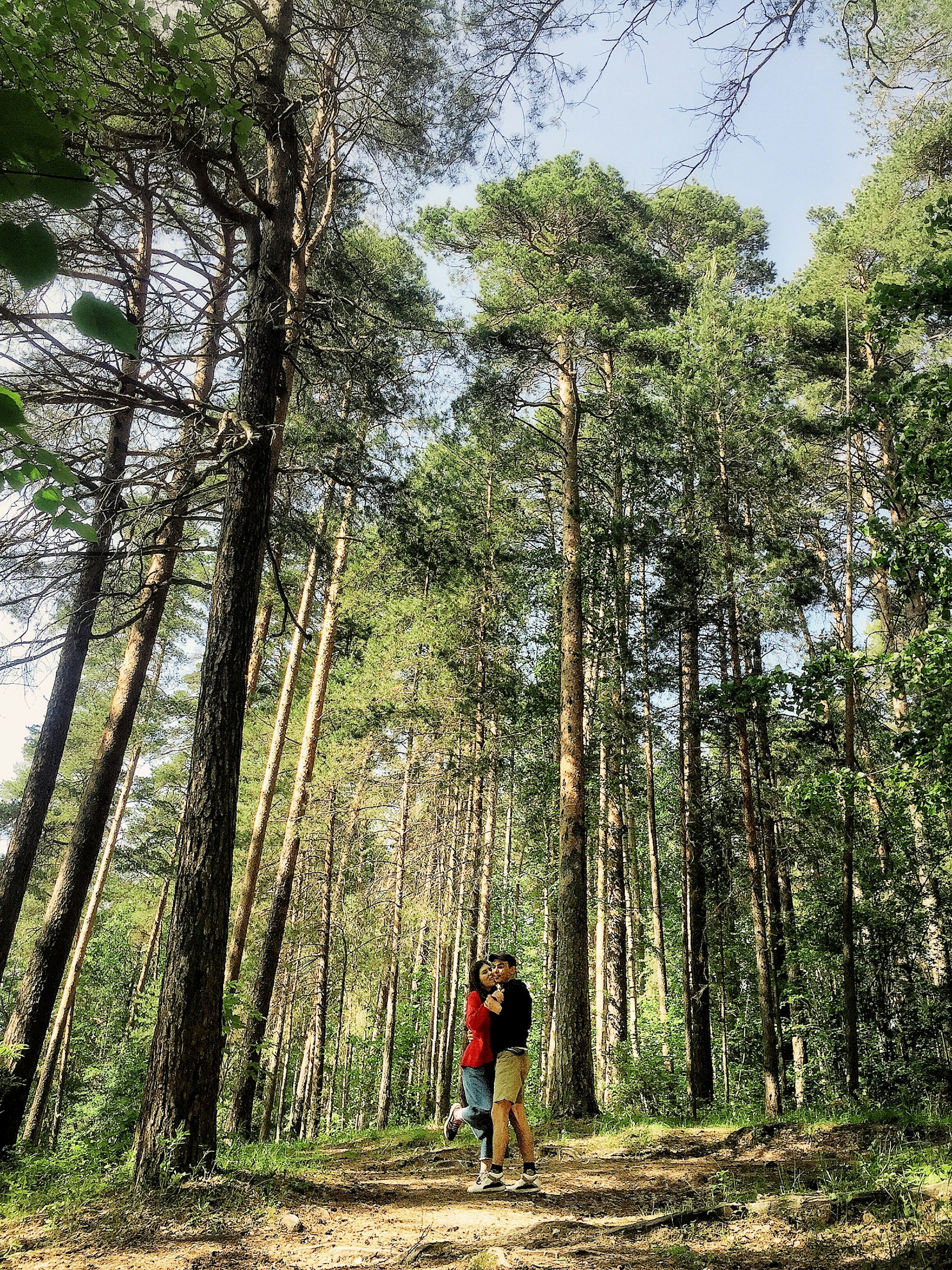 A cinematic wide shot capturing the couple walking hand in hand through a sunlit forest path.