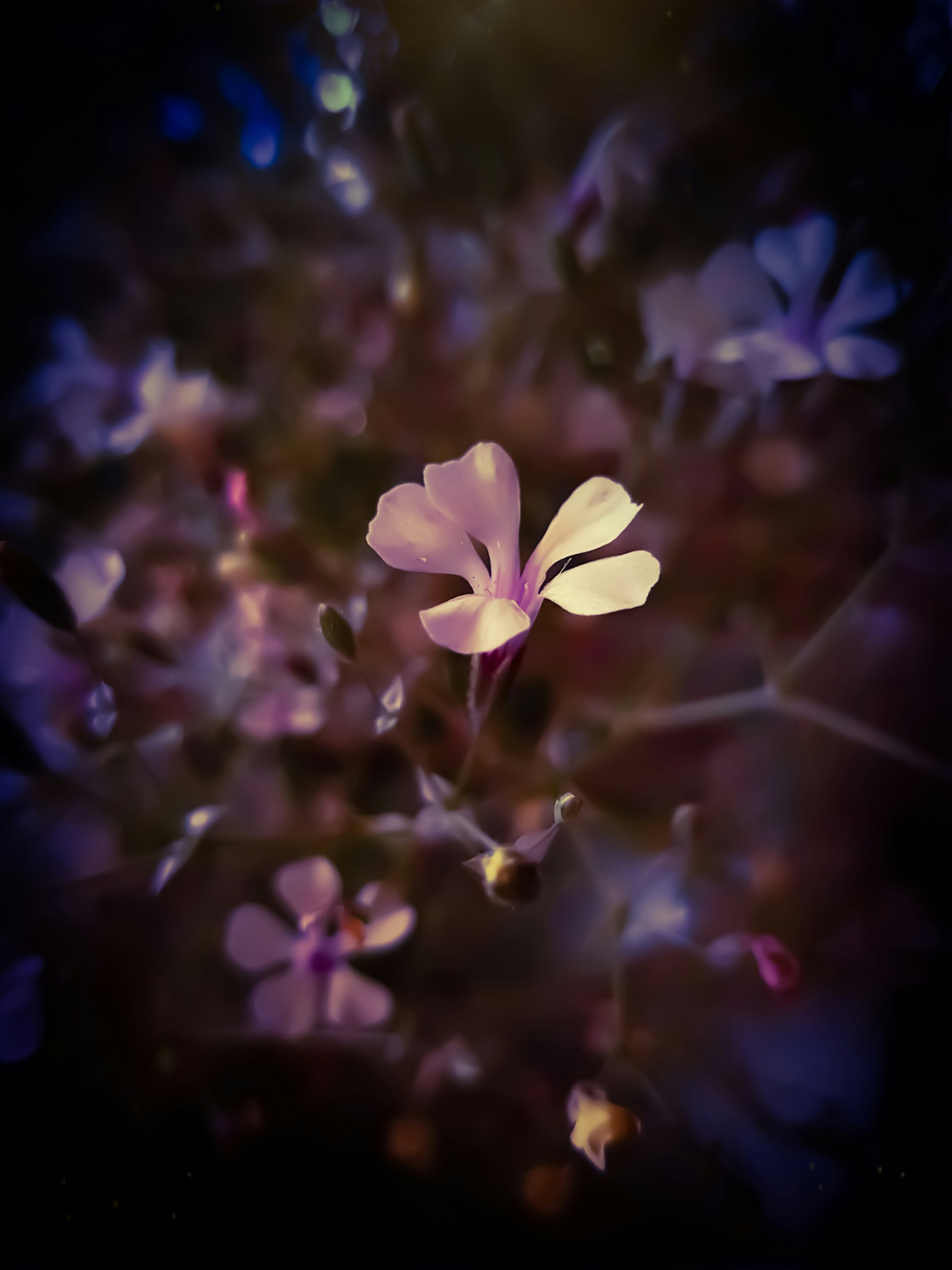 Photo by ali_ir78
