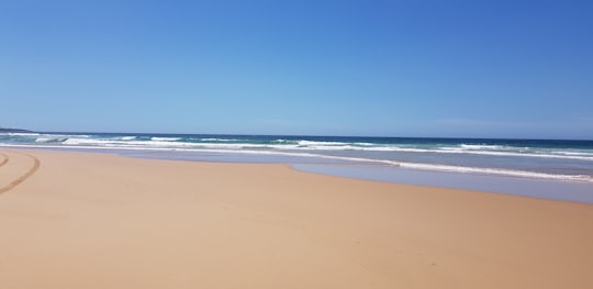 photo of New South Wales Beach near Myall Lakes National Park