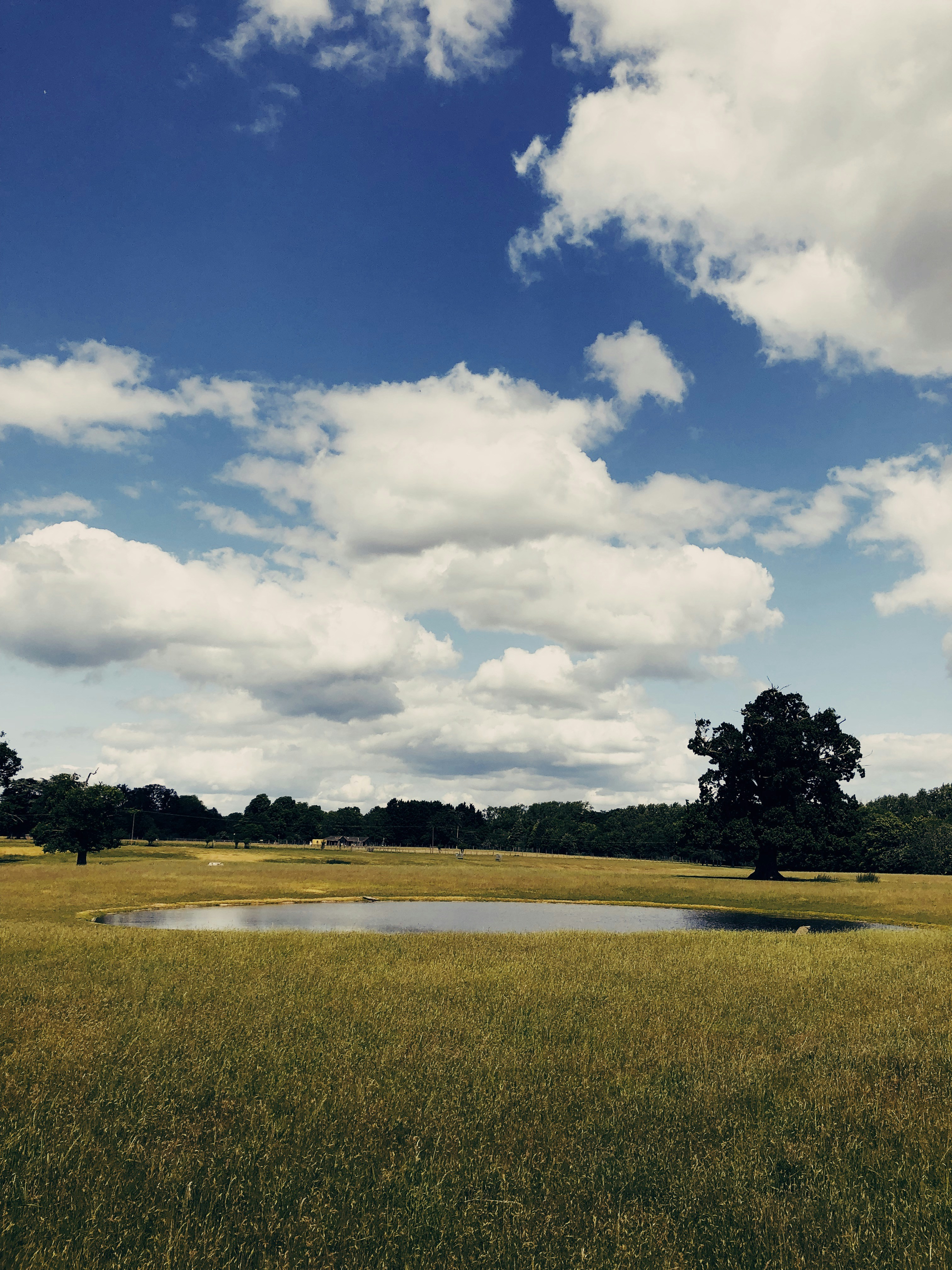 Photo by athousandimensions