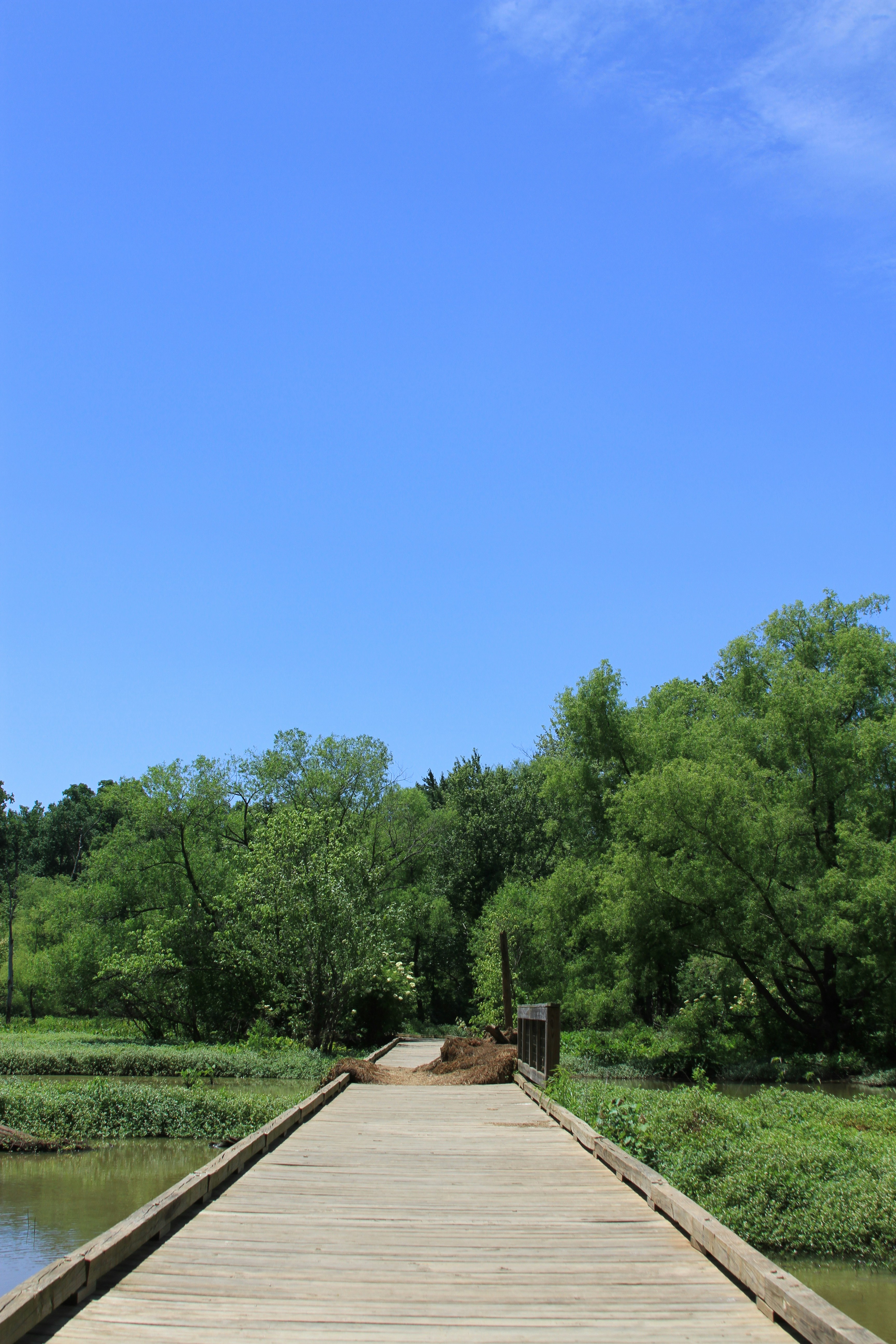 Photo by mspalding00