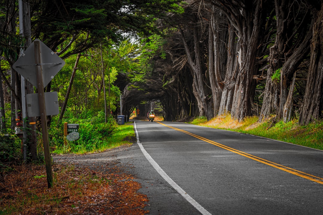 Cruise Through Paradise: The 6 Most Scenic Road Trips in Panama