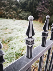 Gardener inspecting frost-covered hedges on a cold winter morning