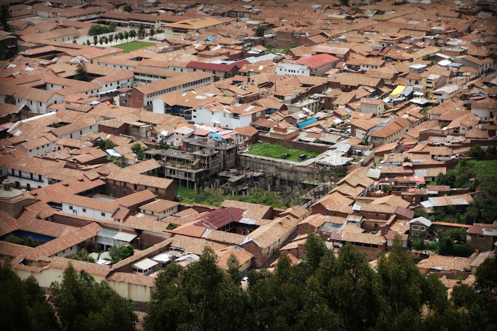 aerial view of village