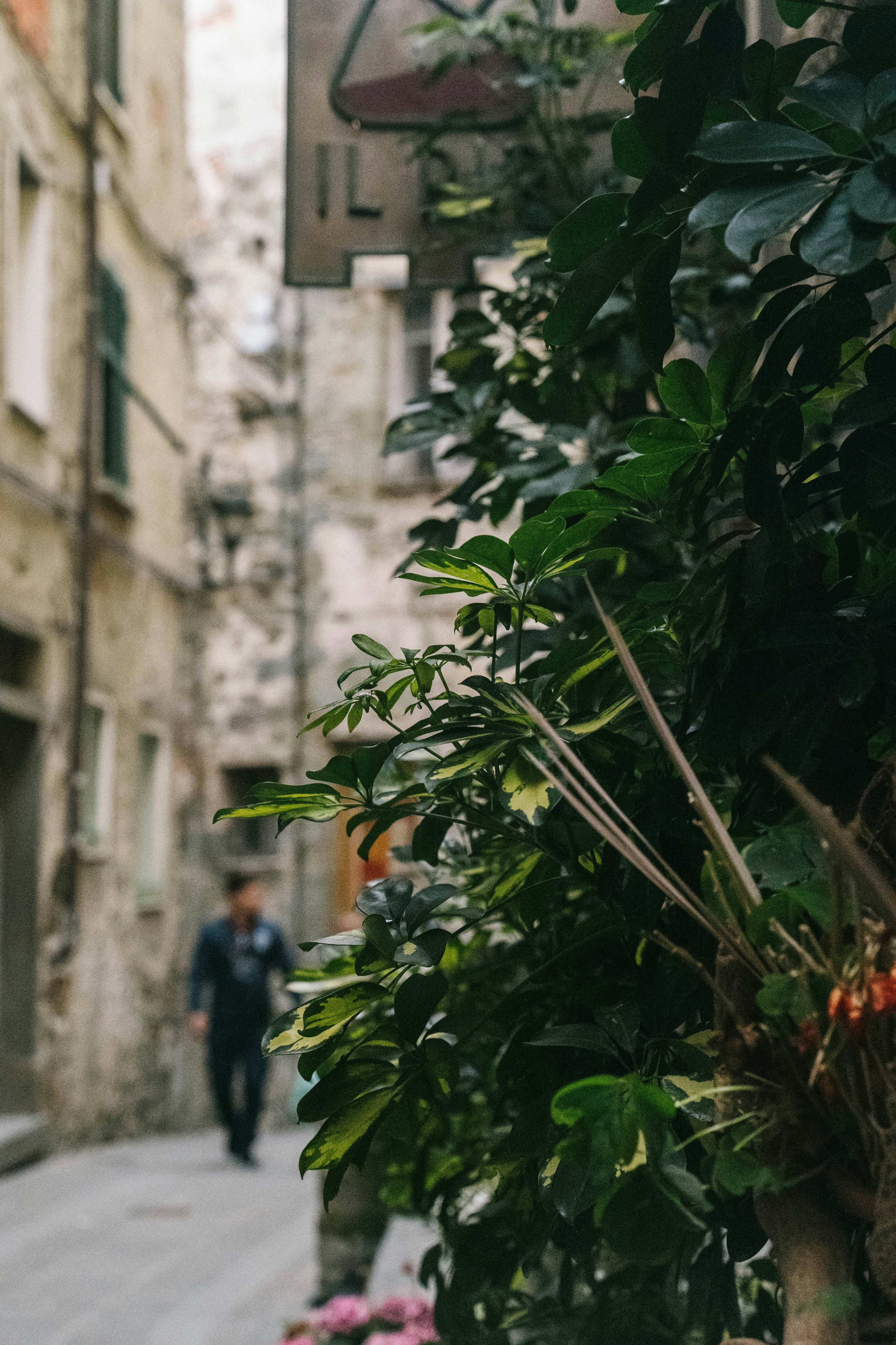 Photo by charliefirth