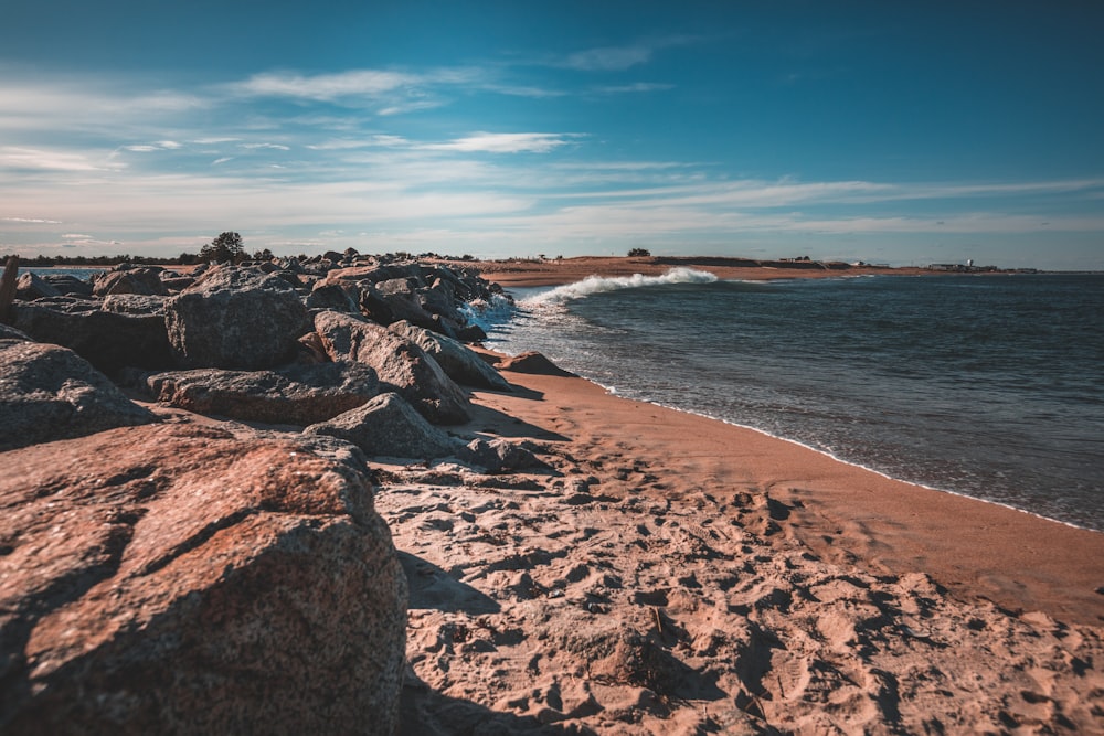 beach during daytime