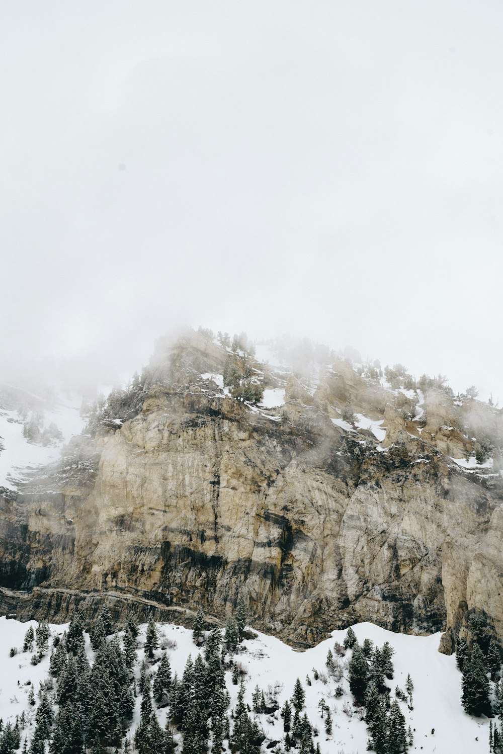 icy foggy mountain scenery