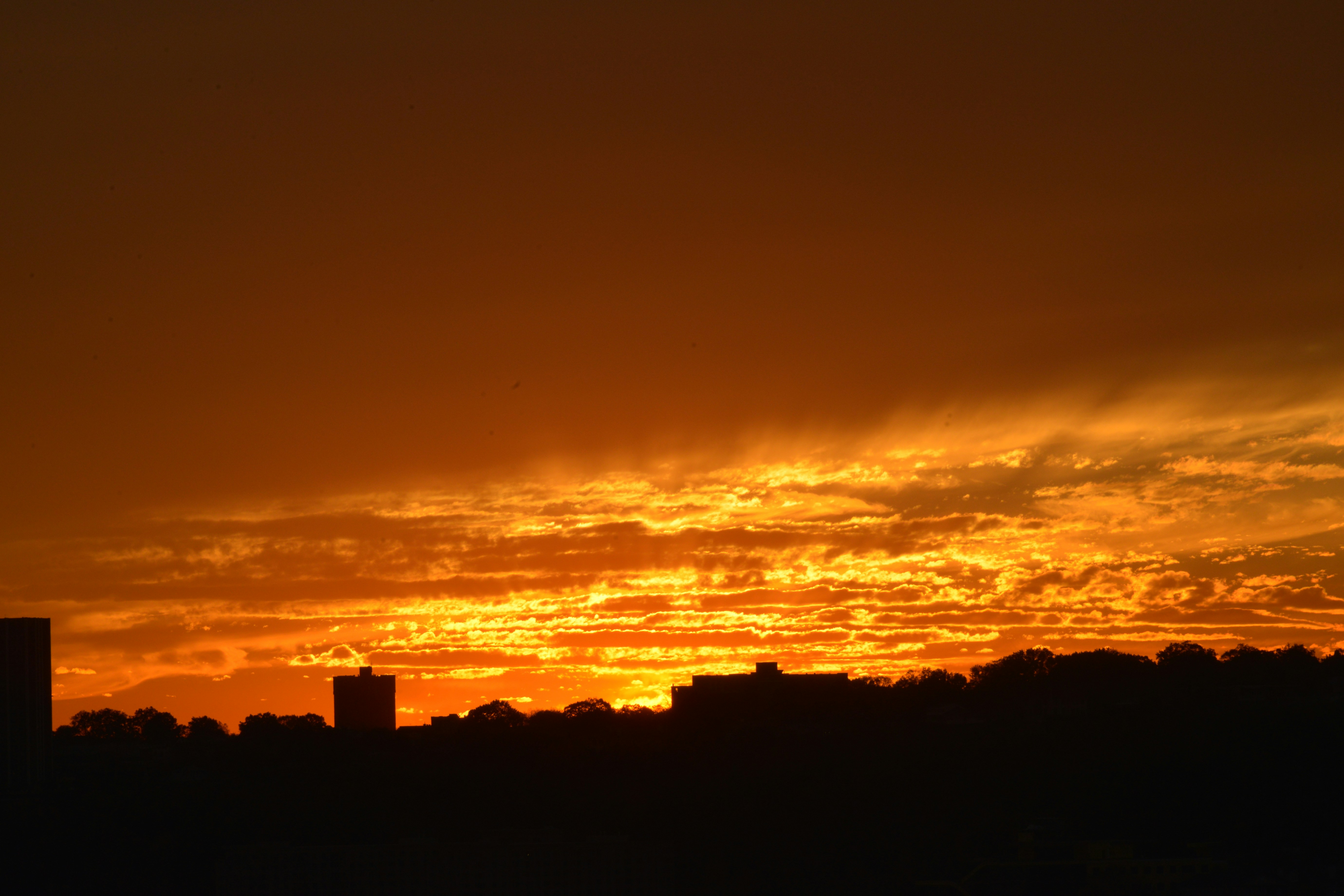 Photo by manuelsierra