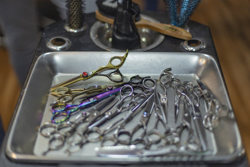 silver shears lot