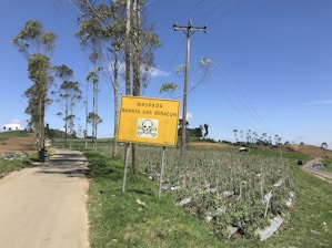 A rural landscape with a paved road running alongside cultivated fields and tall trees. A yellow warning sign with a skull and crossbones symbol is prominently visible, indicating danger from toxic gas in the area. Electric poles and wires are also present, with clear skies above.