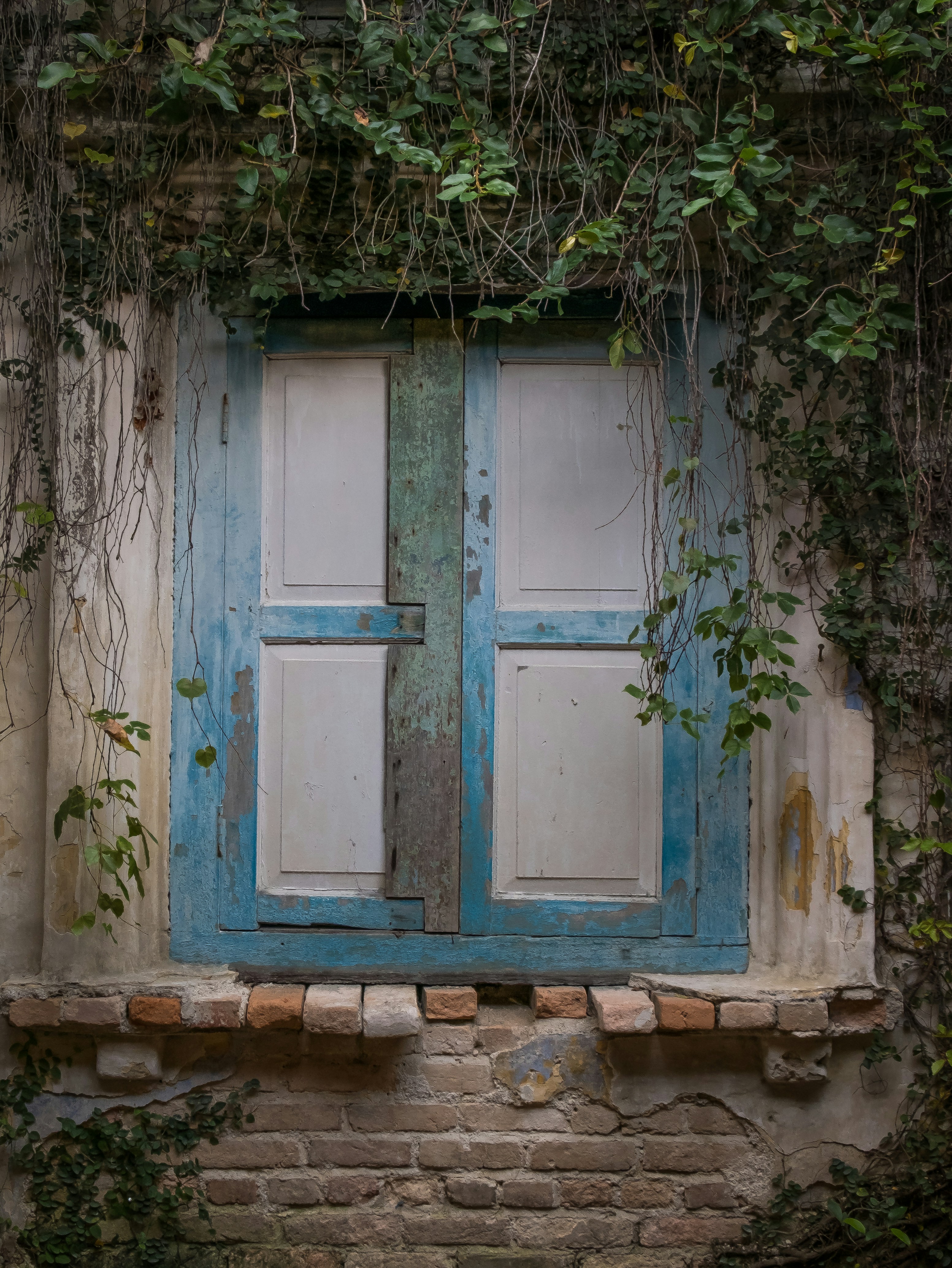 Photo by alifjawiyani