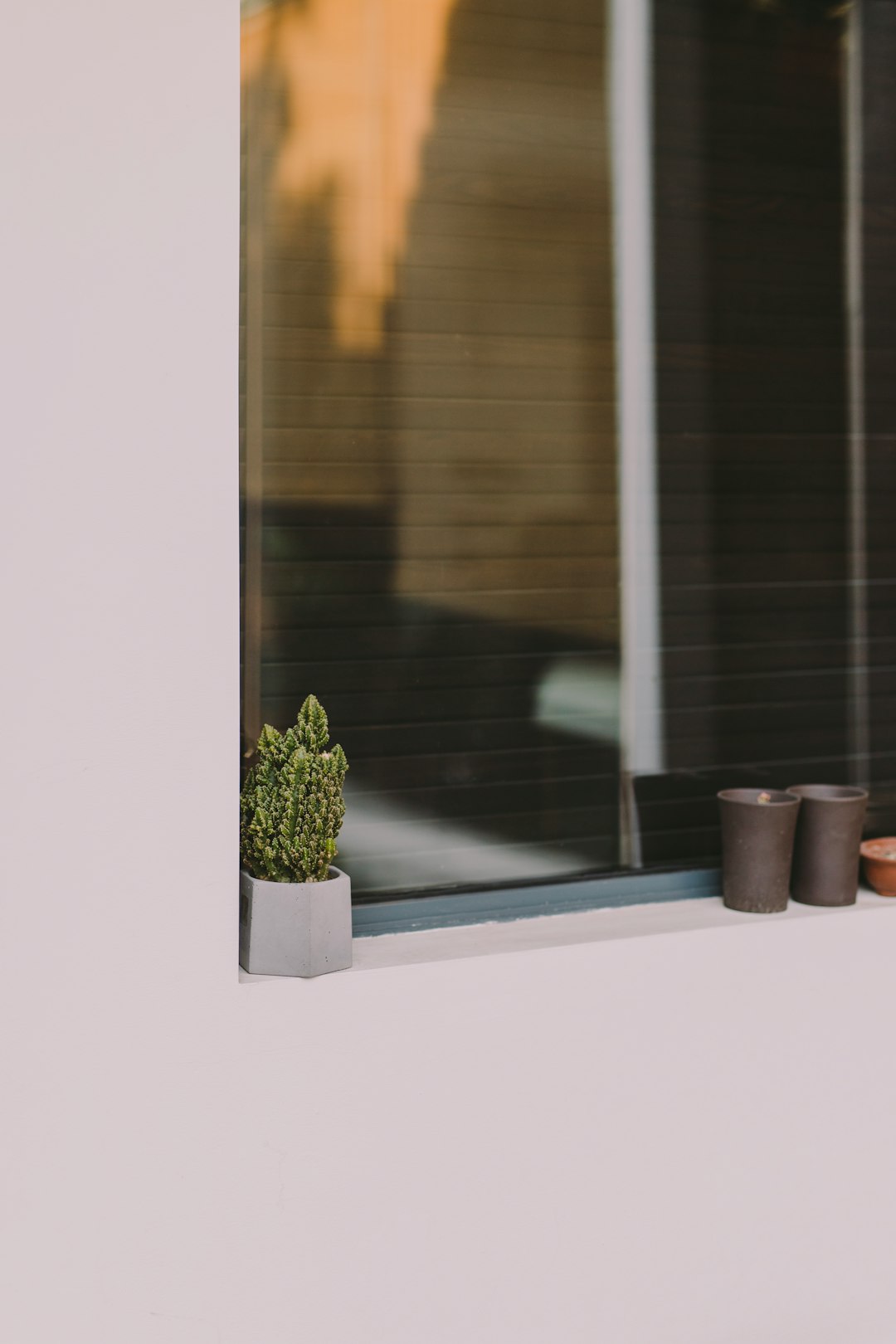 green plant beside window