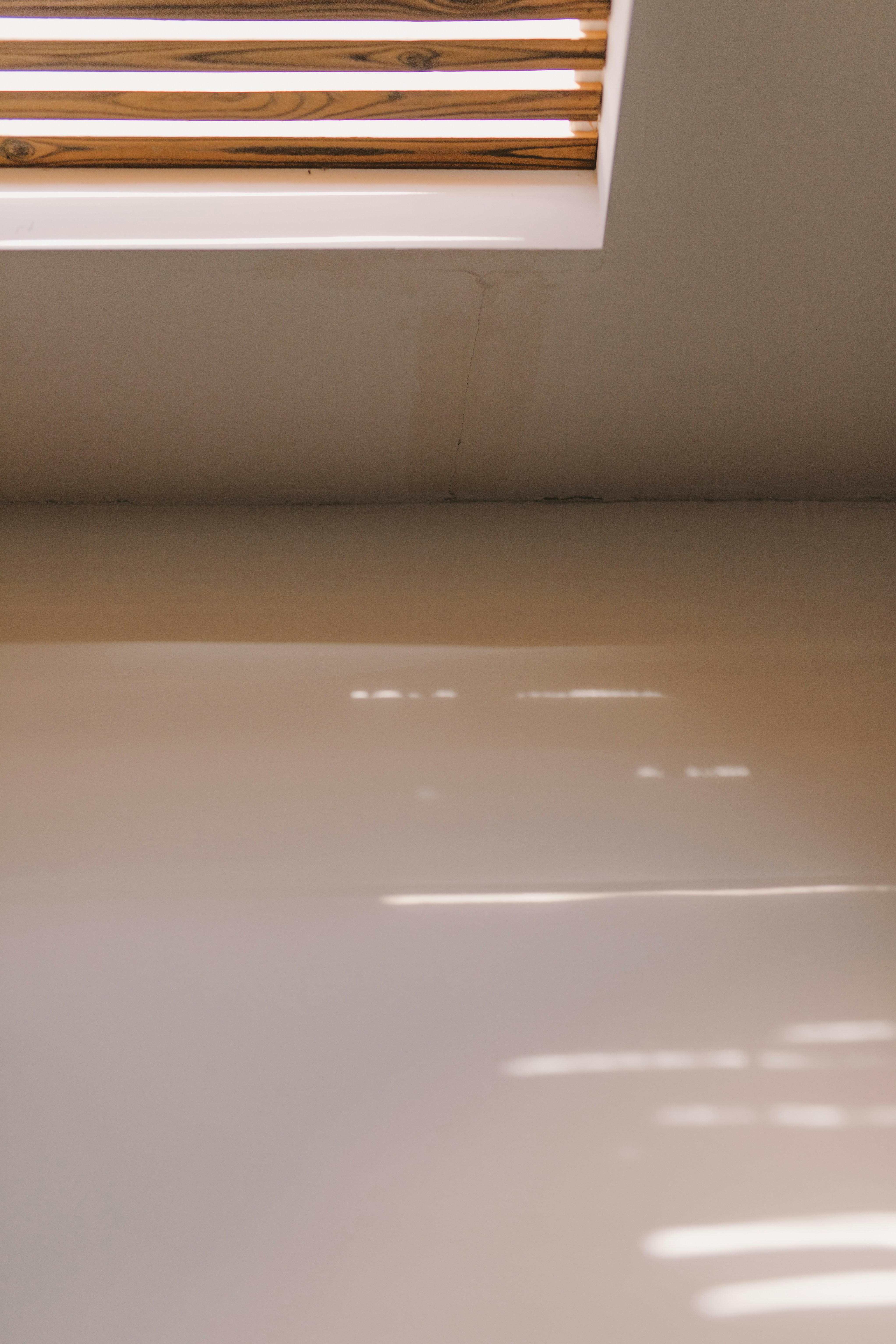 a cat sitting on a window sill in a room