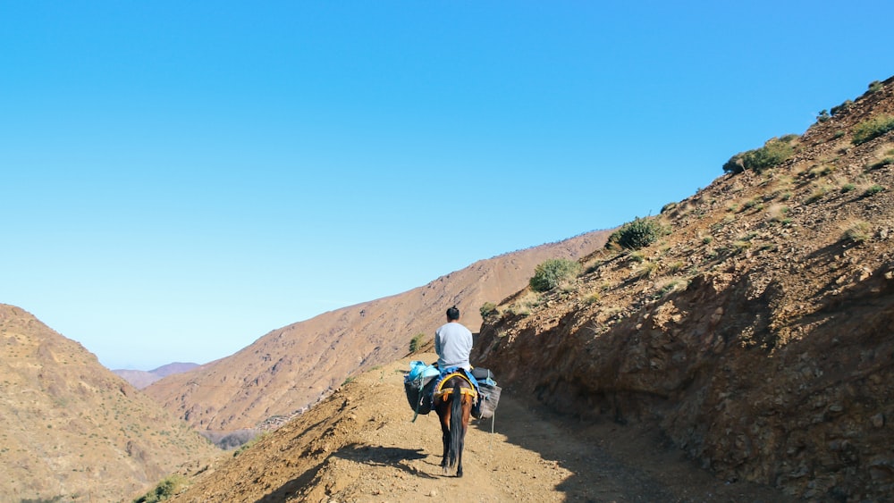 person riding on horse during daytime