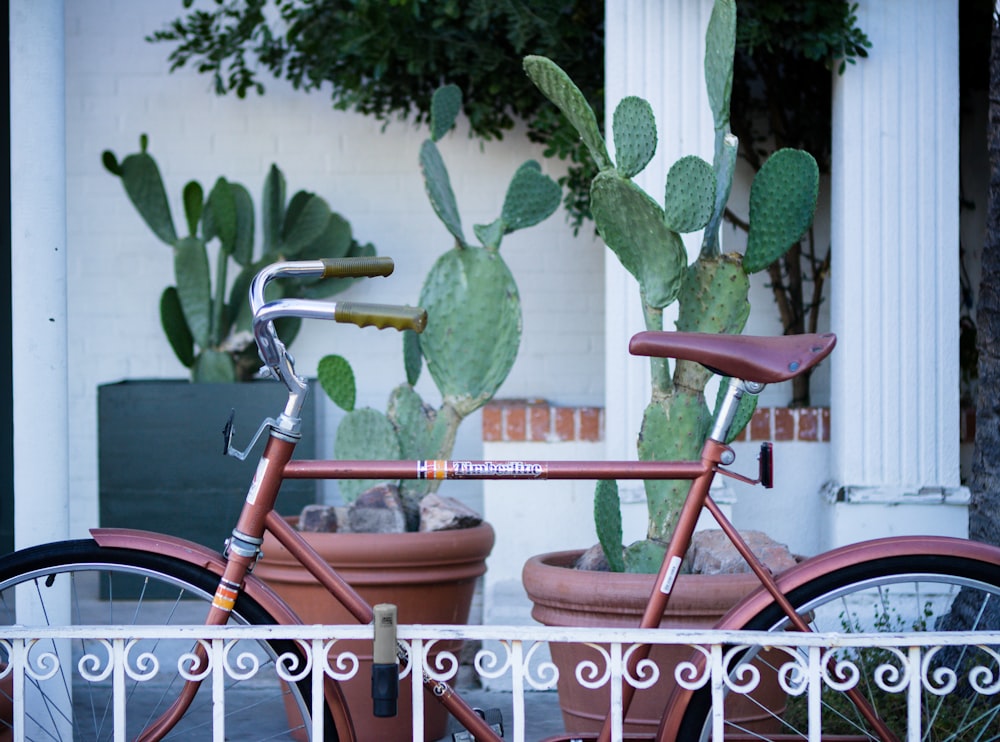 brown road bicycle beside cactus plants