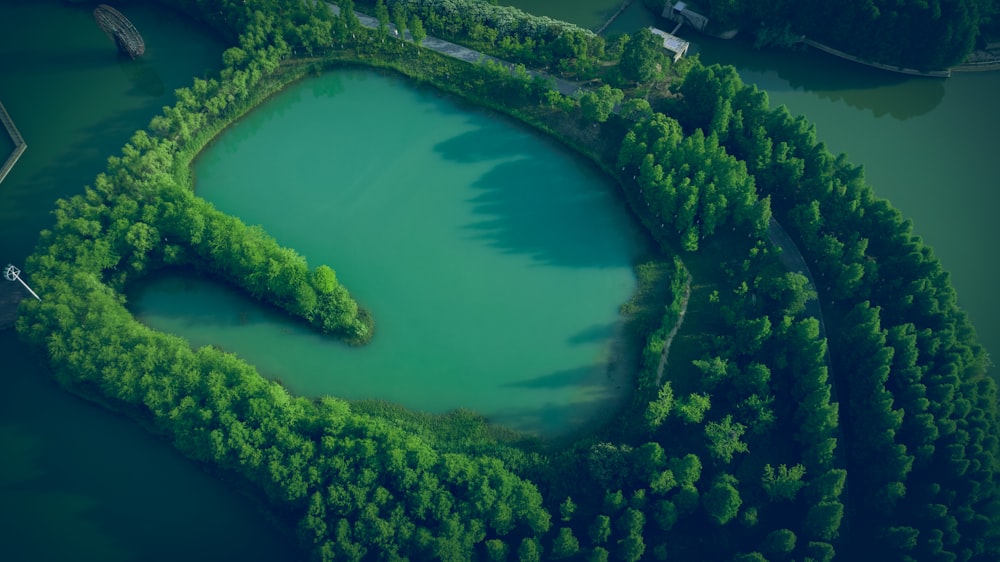 an aerial view of a lake surrounded by trees