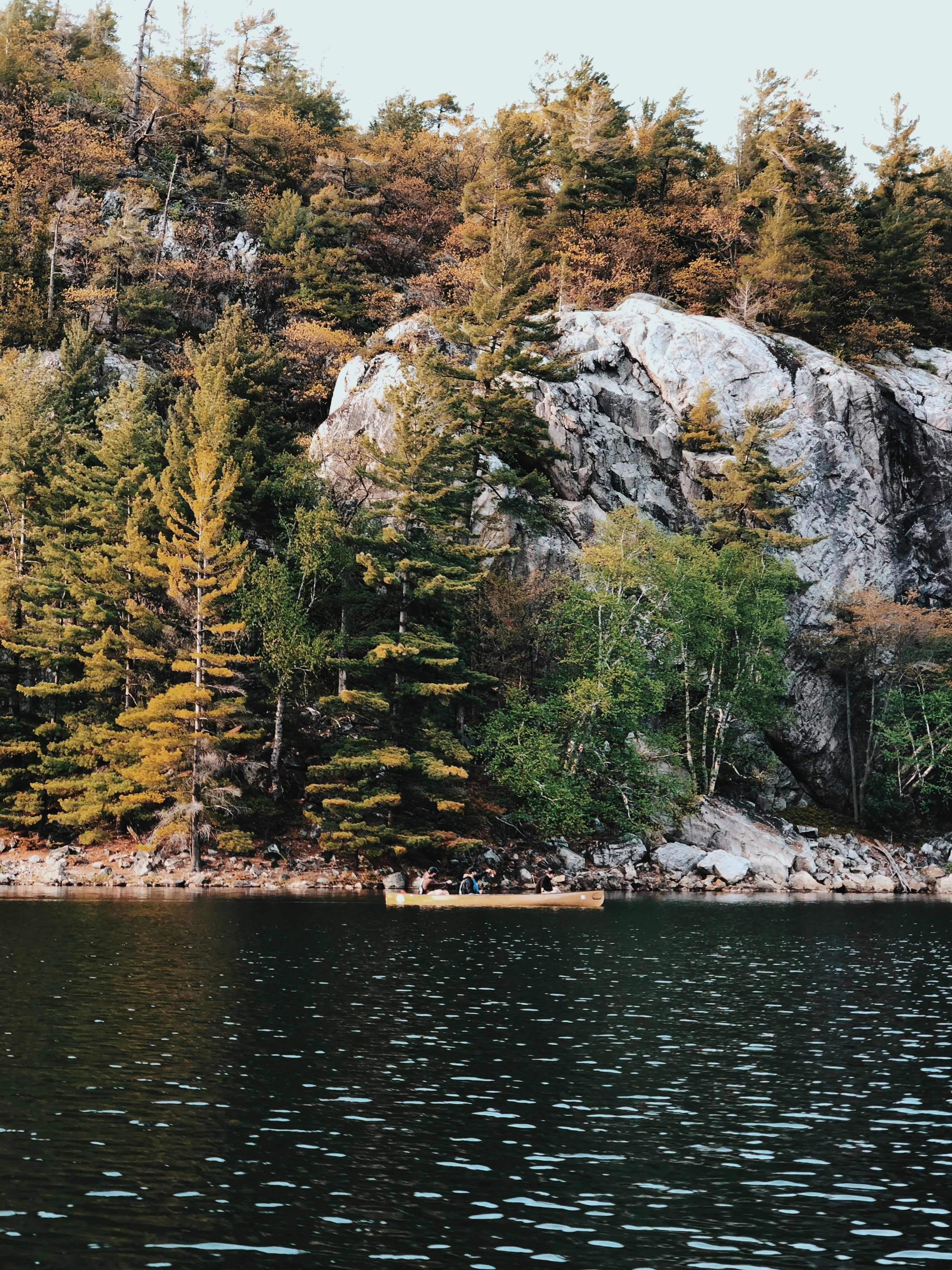 Photo by hebertialmeida