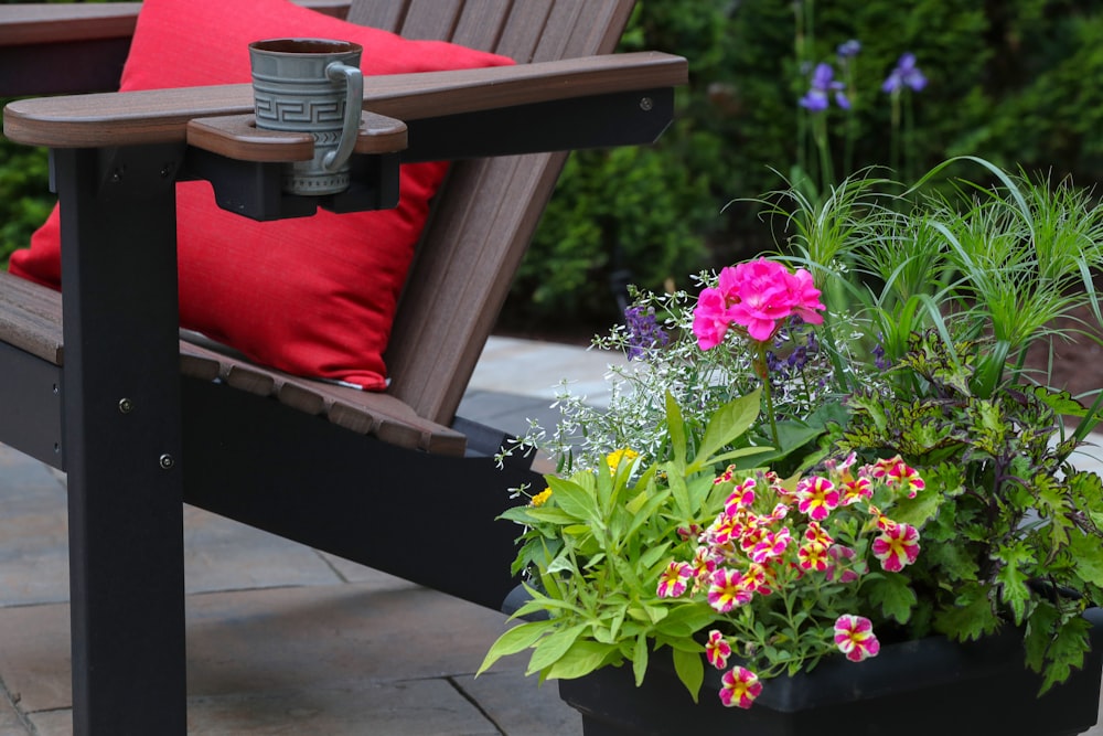 pink and red flower plant beside brown wooden adirondack chair