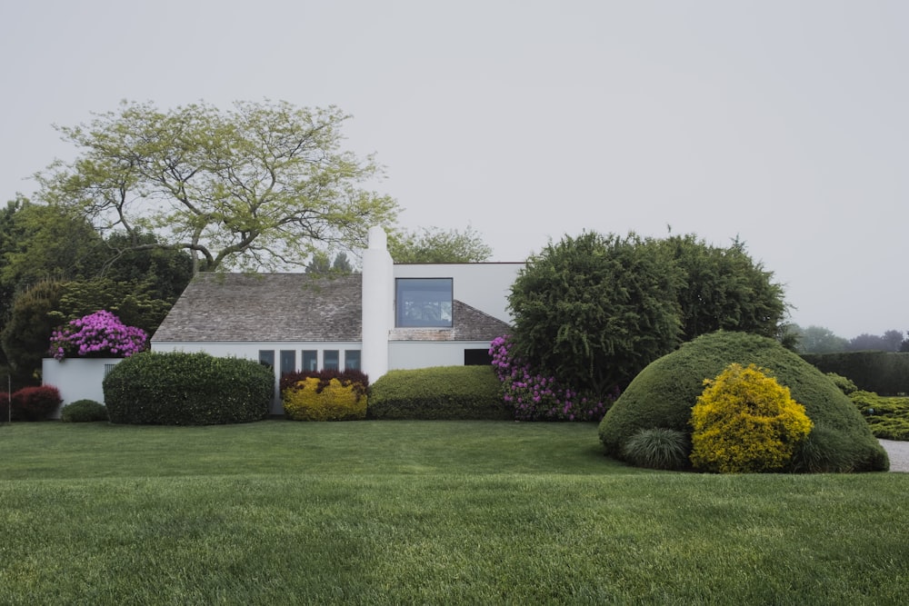 white 2-story house near trees