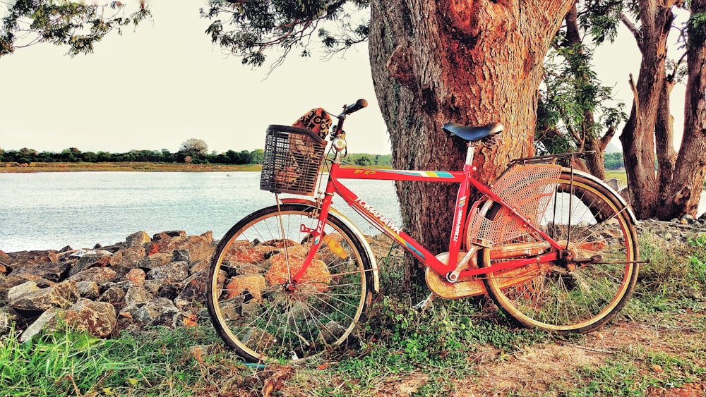 red rigid bicycle beside tree