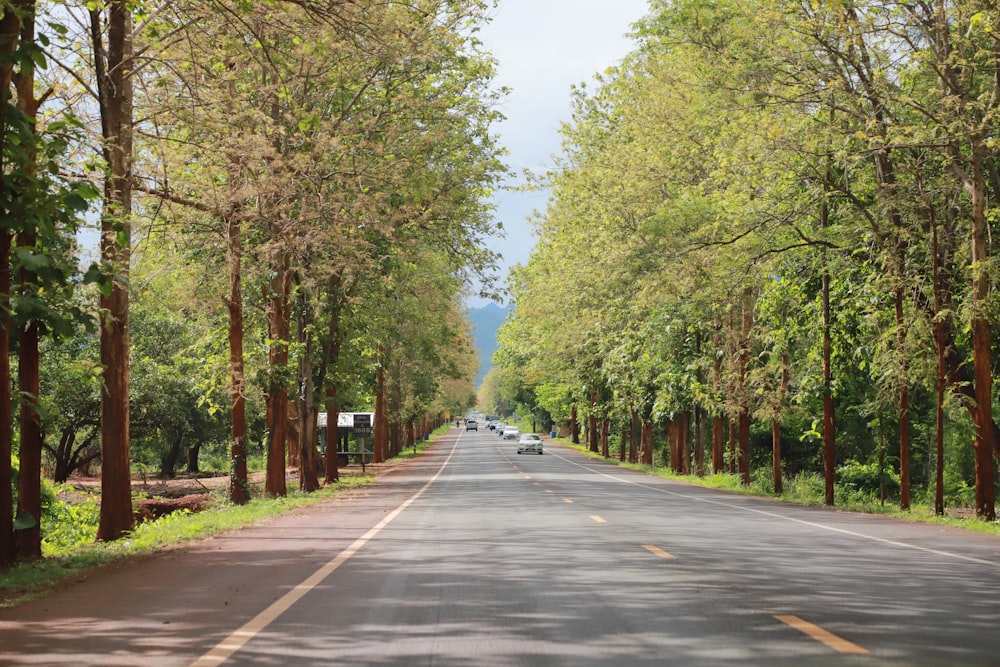 a street lined with trees and a car driving down it