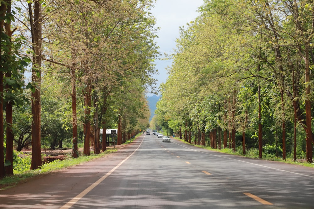 Eine Straße gesäumt von Bäumen und ein Auto, das sie hinunterfährt