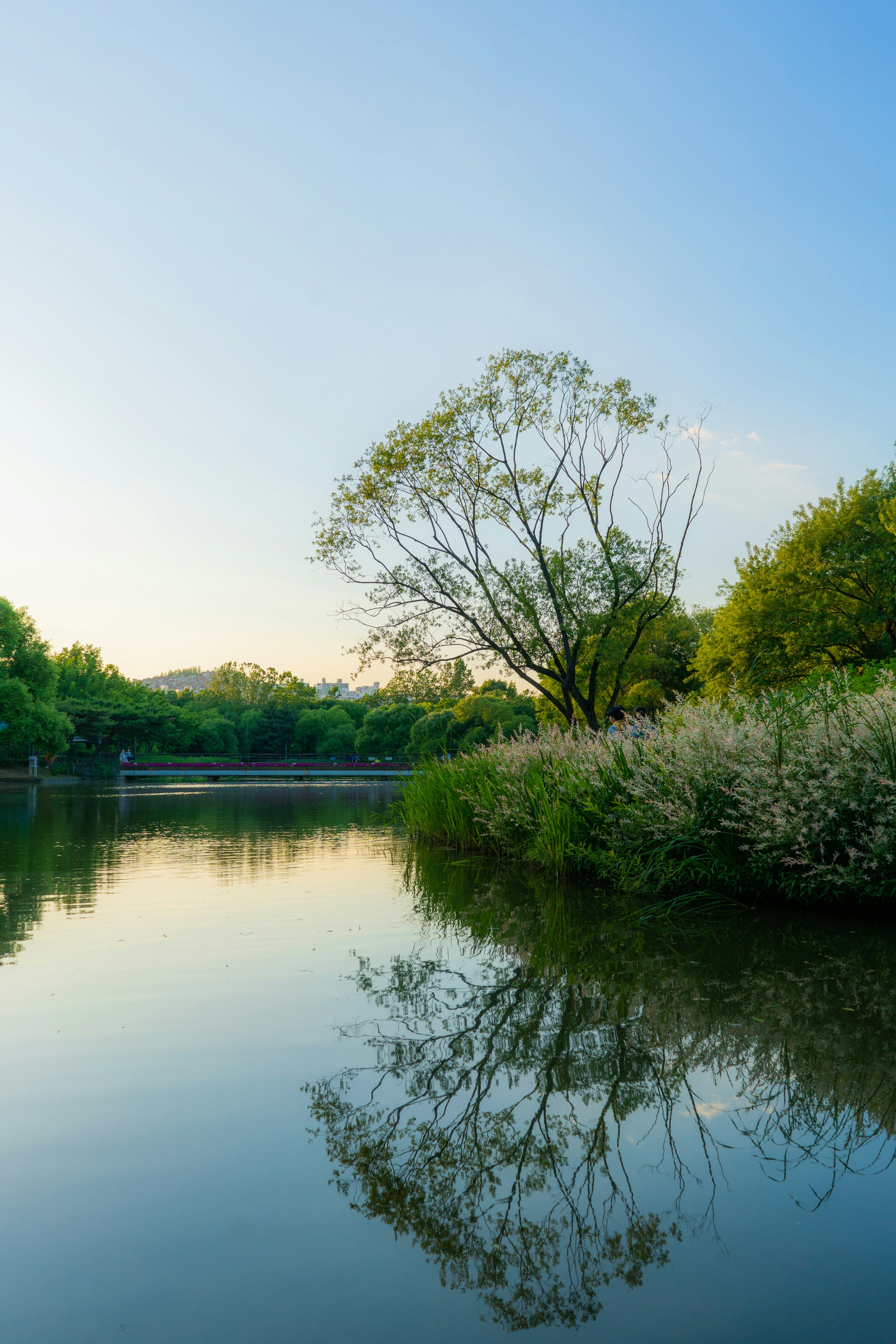 Photo by seoulinspired